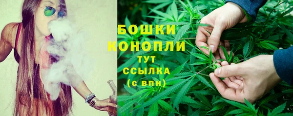метадон Каменногорск