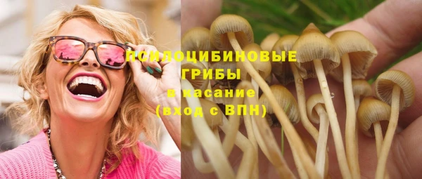 метадон Каменногорск